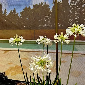  Сasa de vacaciones Agradable Con Piscina En La Barrosa